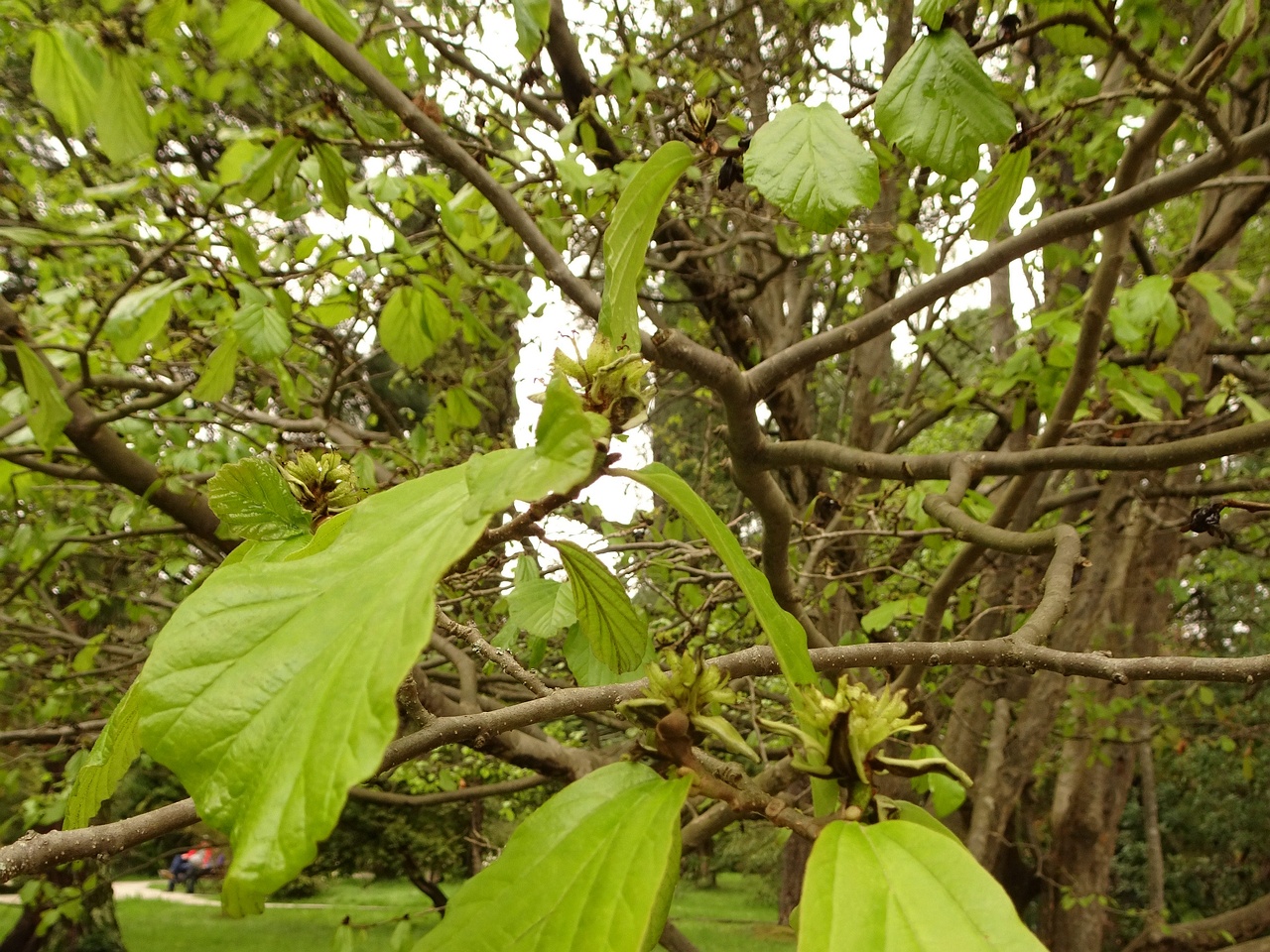 DSC02170