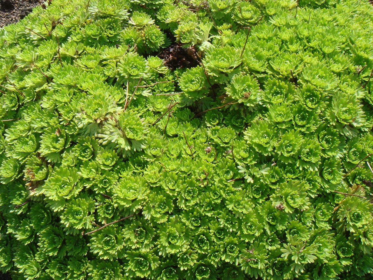 DSC03320