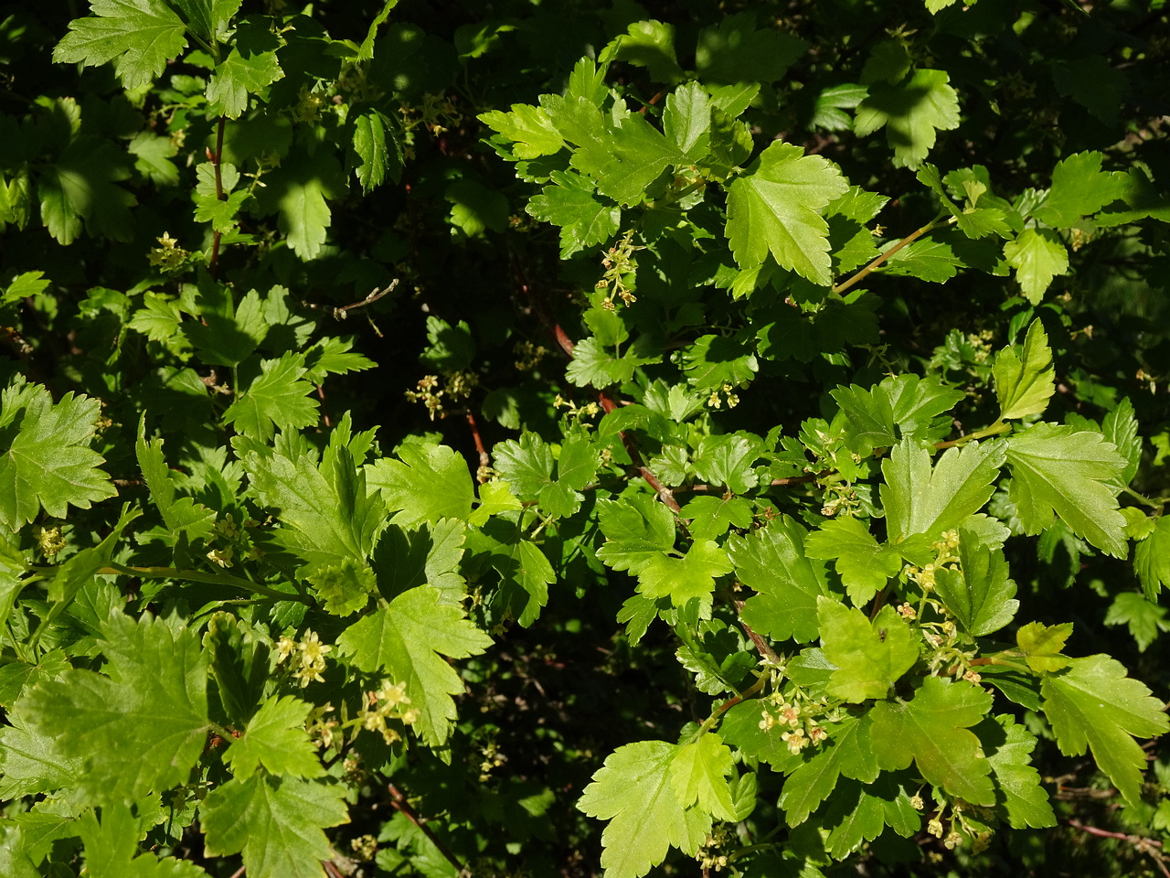 DSC02615