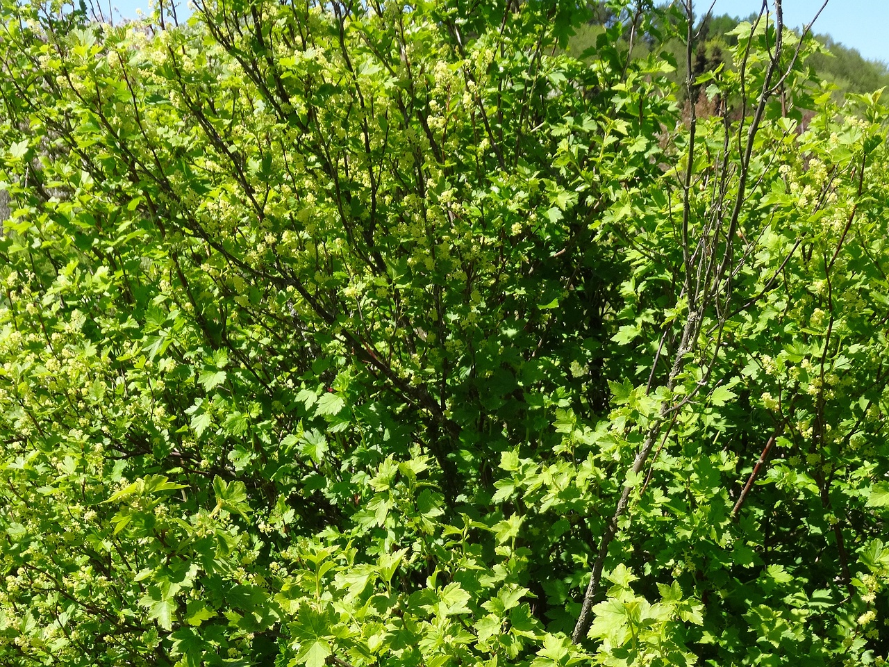 DSC02881