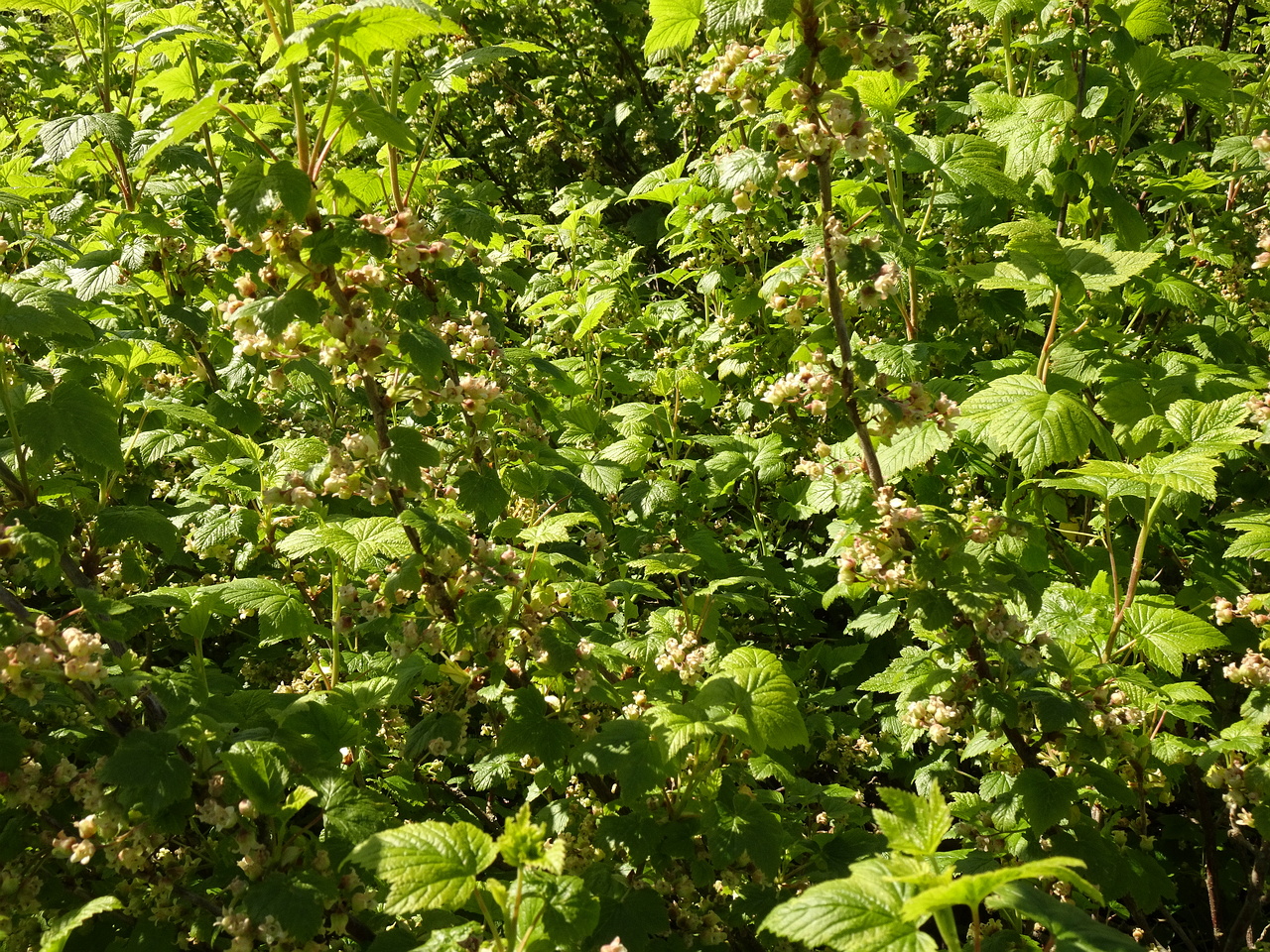 DSC02656