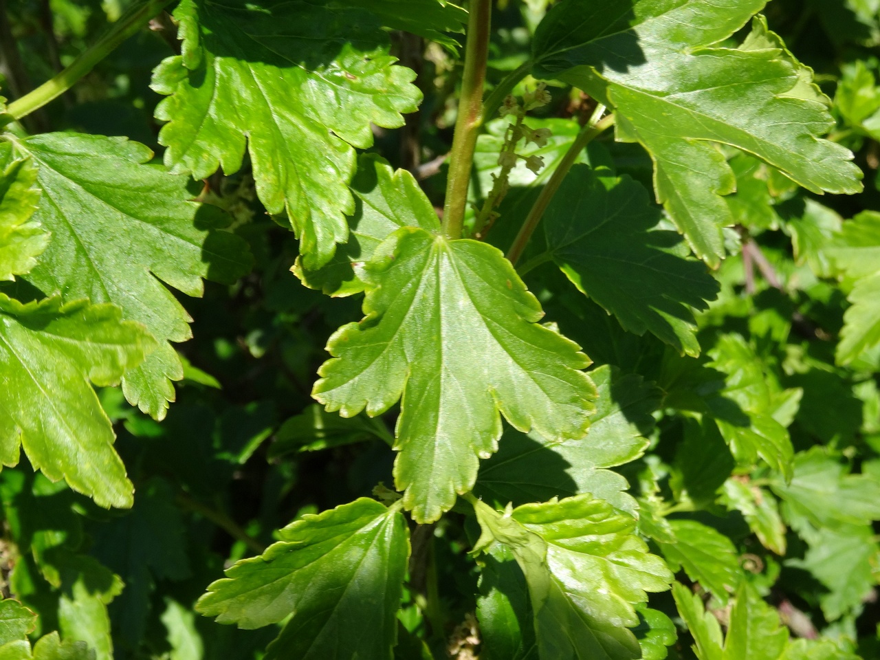 DSC02893
