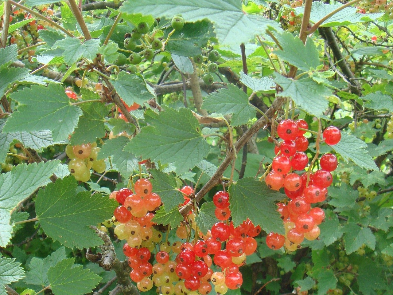 DSC01825