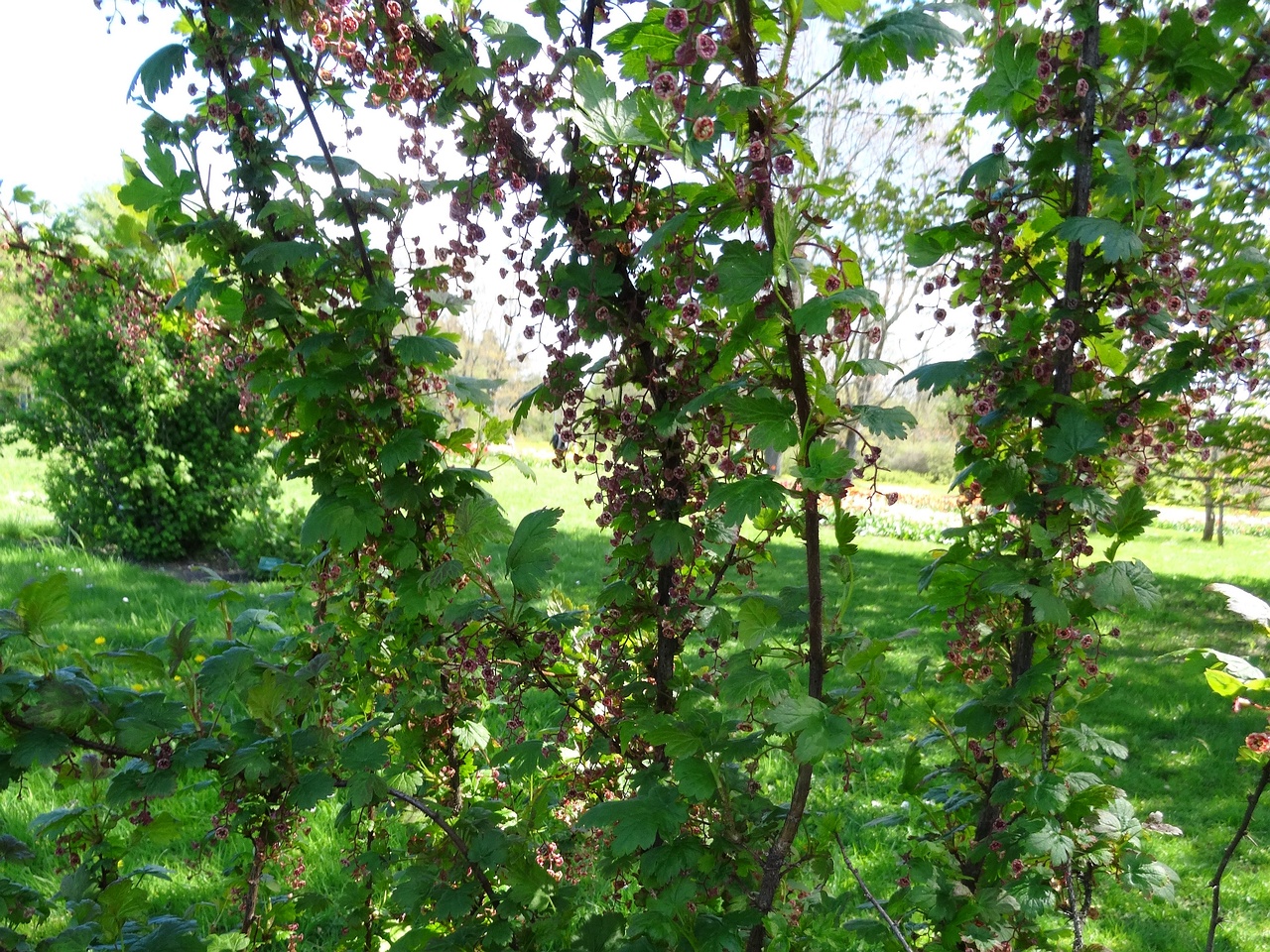 DSC02934