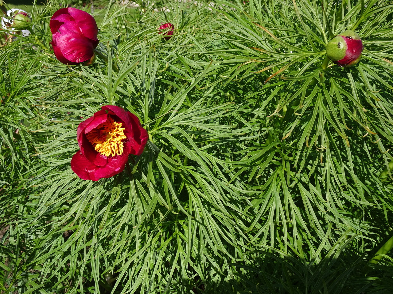 DSC06365