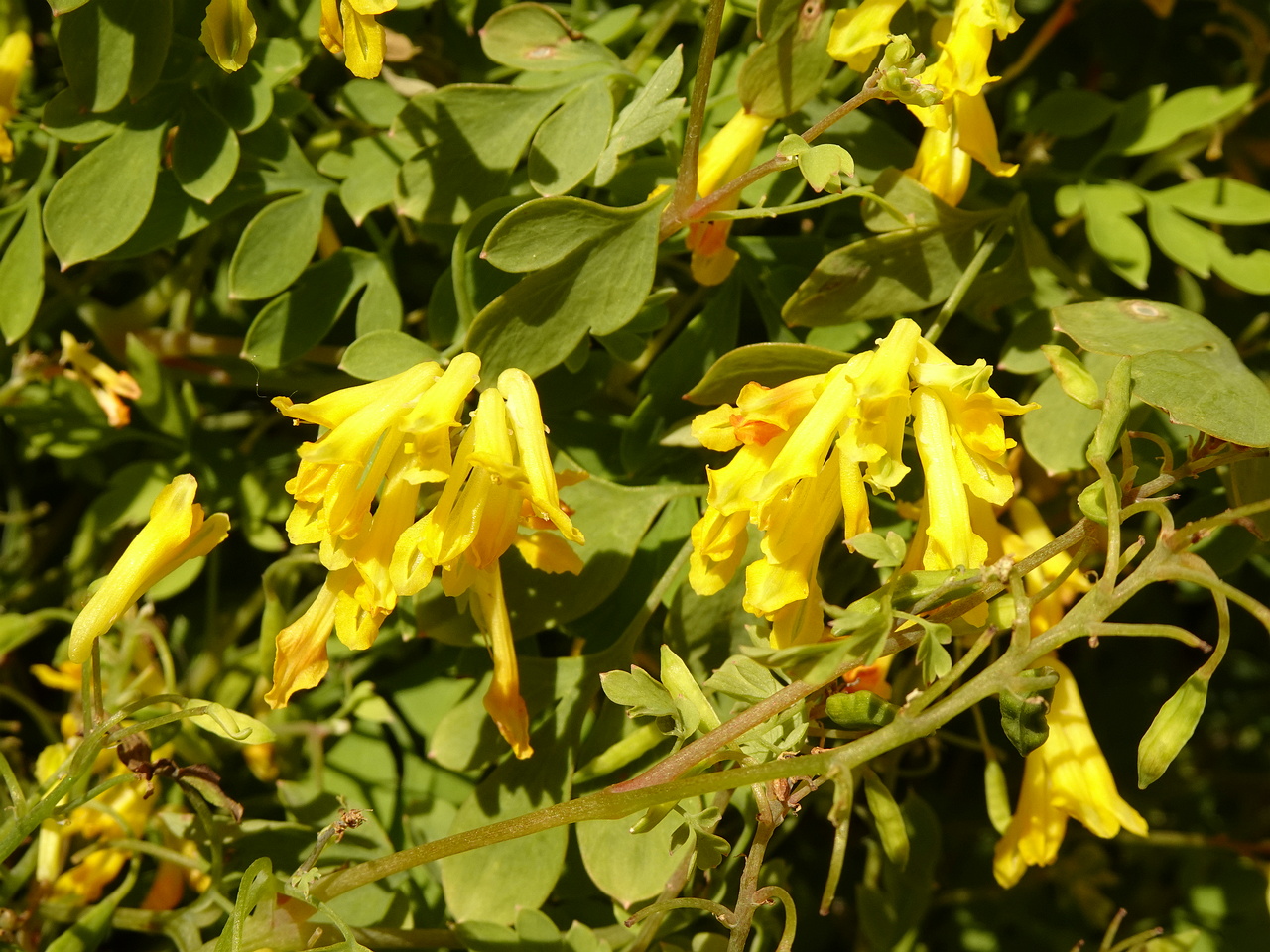 DSC05070