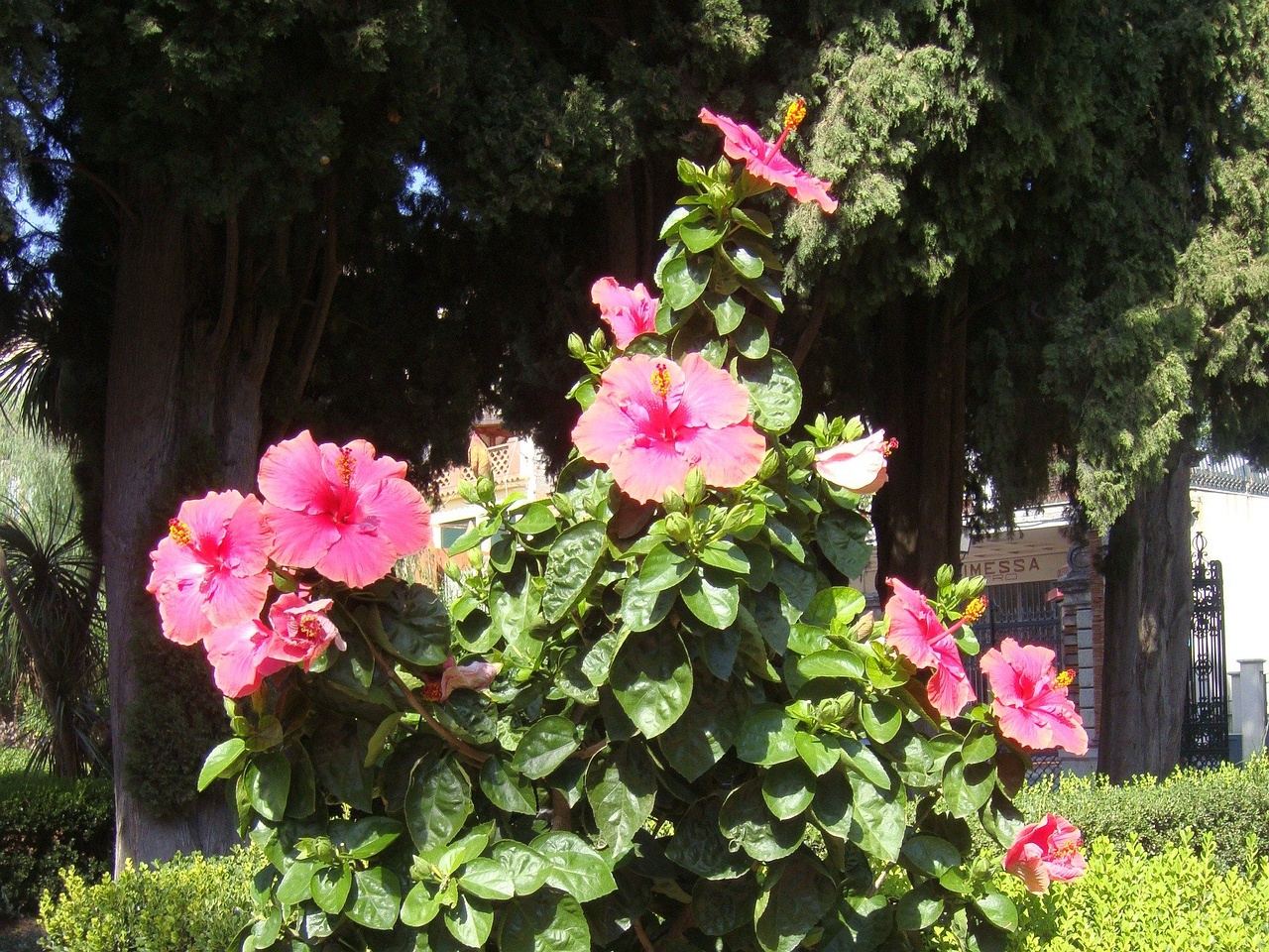 DSC02646