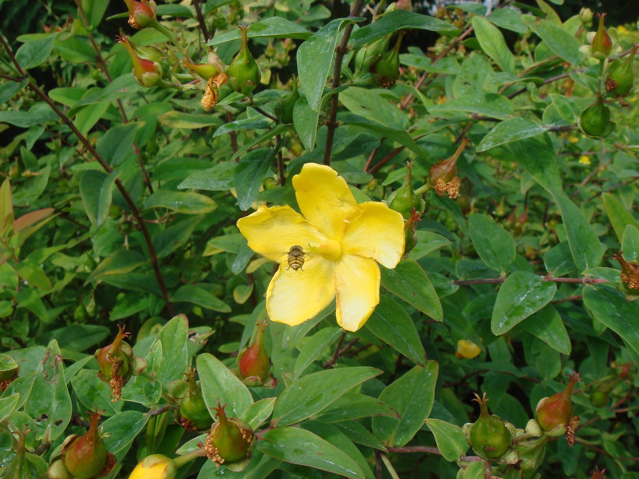 DSC09642