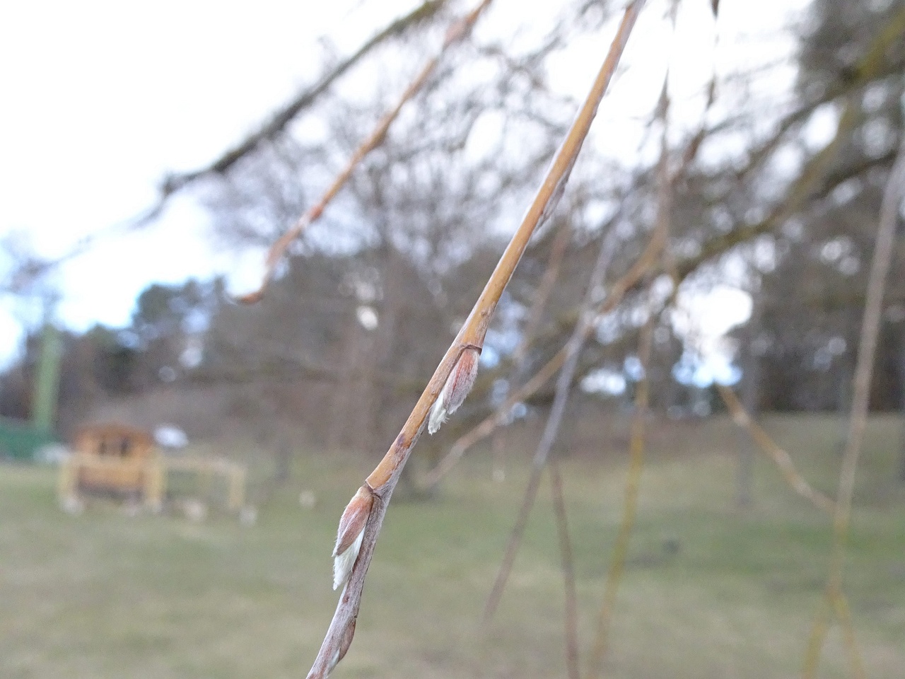 DSC05666