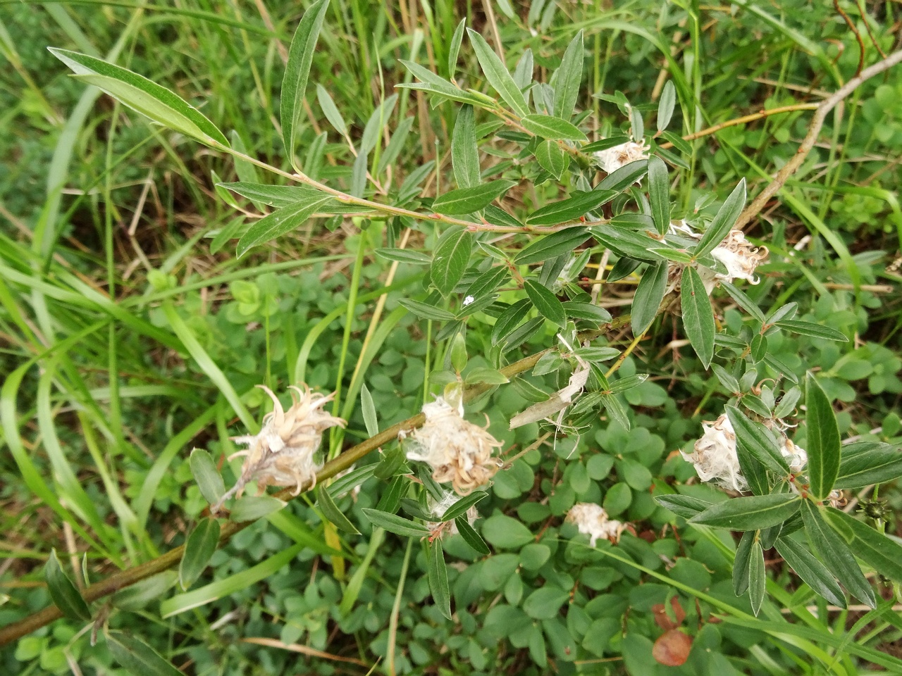 DSC01155