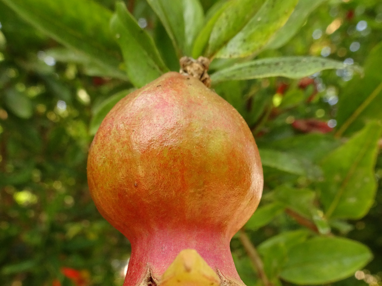 DSC03373