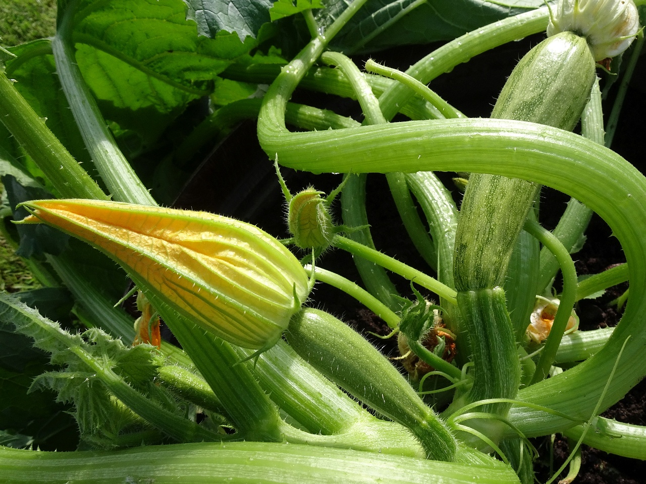 DSC08615_