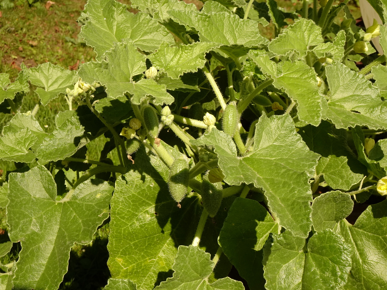 DSC05477