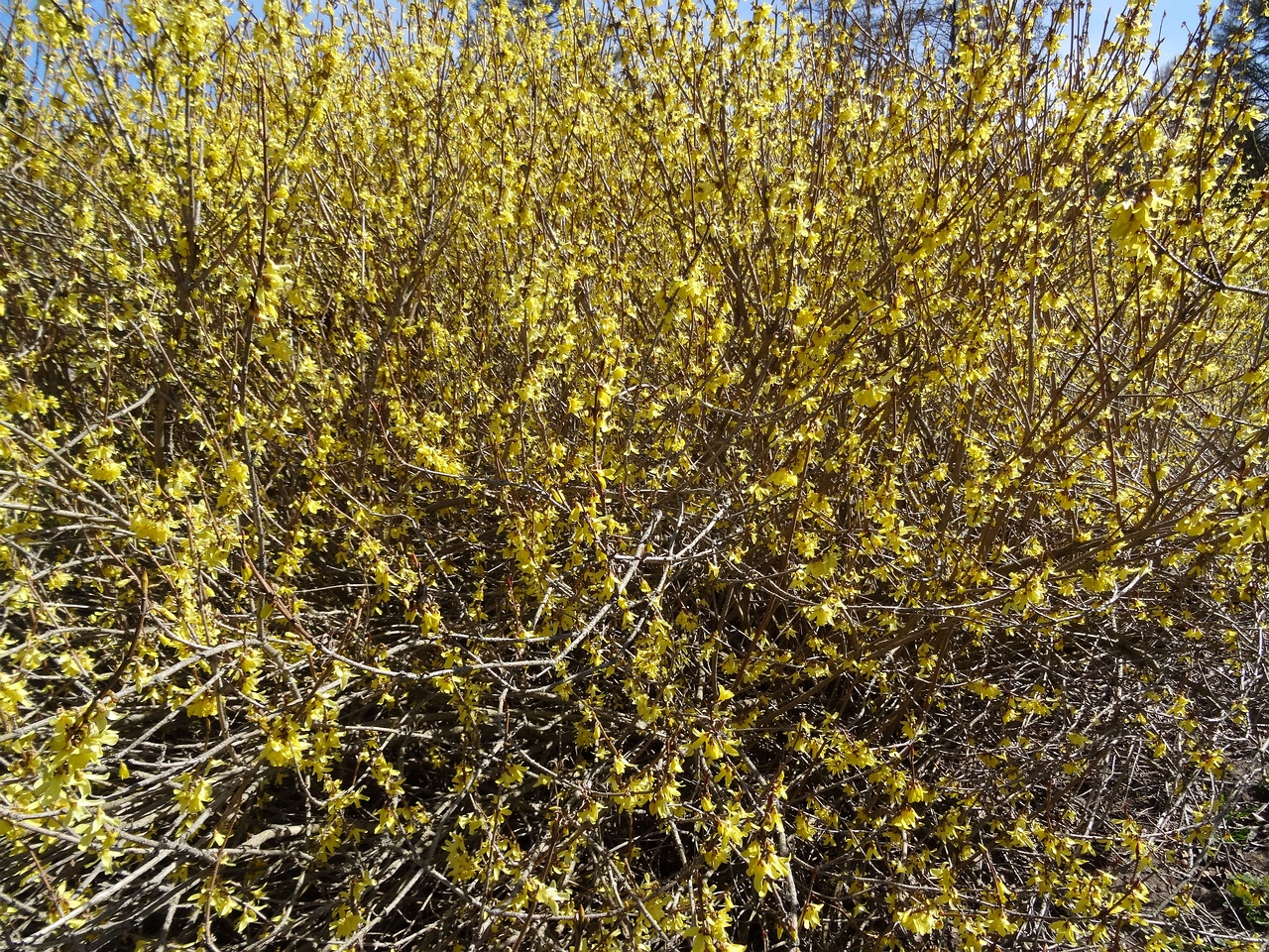 DSC02048