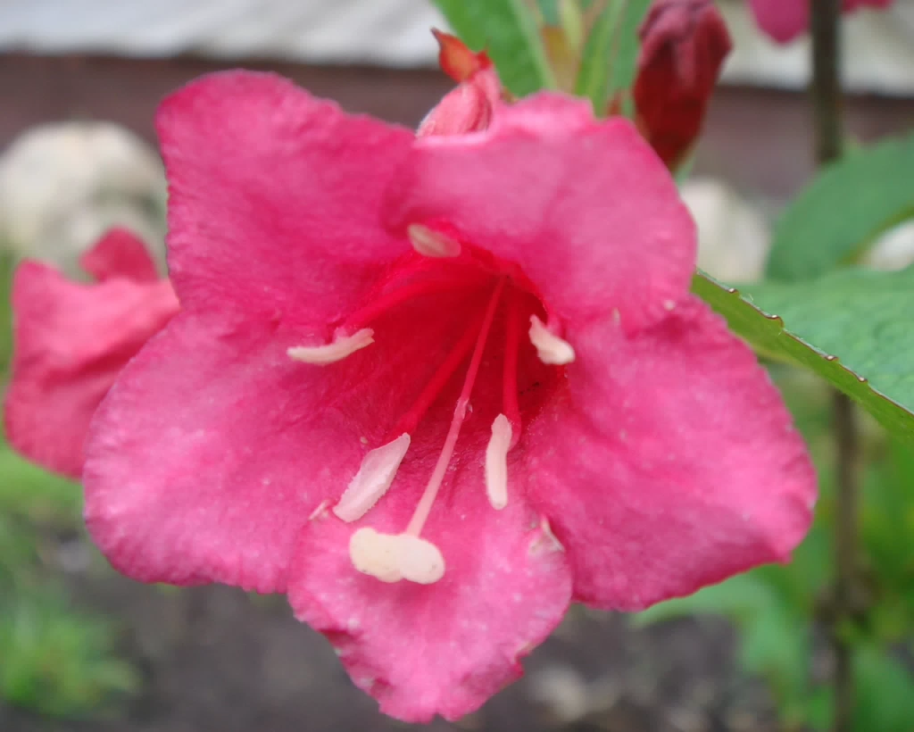 DSC01610