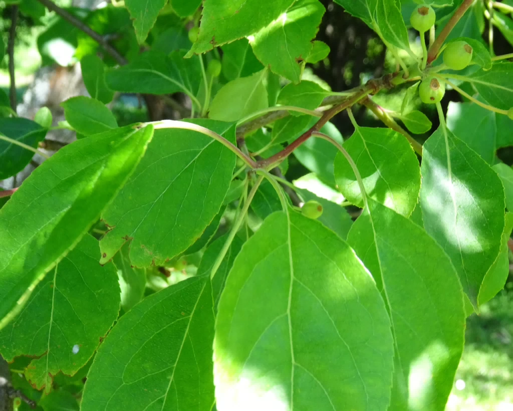 DSC04228