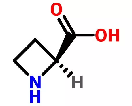 L-Azetidine 2-carboxylic acid