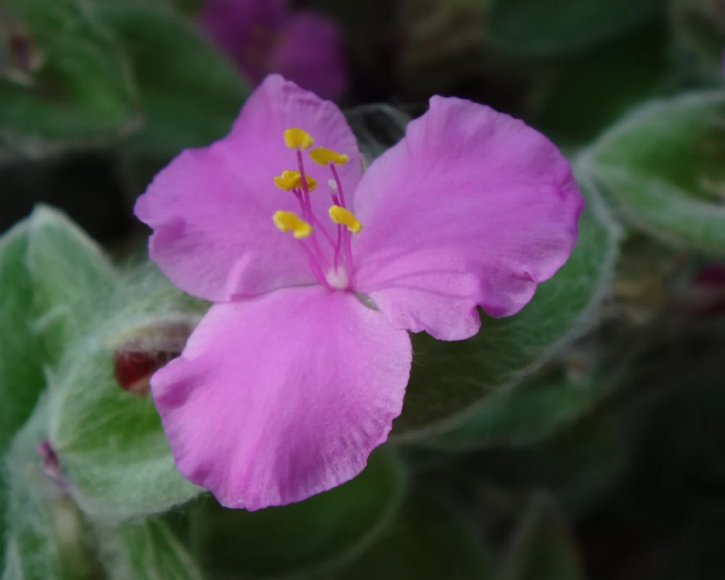 DSC00140