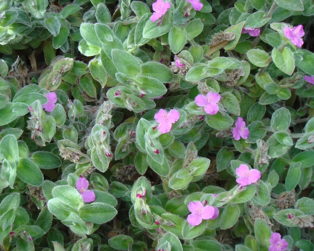 DSC00142