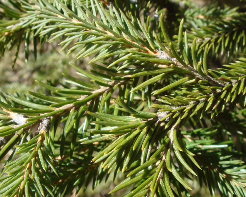 DSC00063