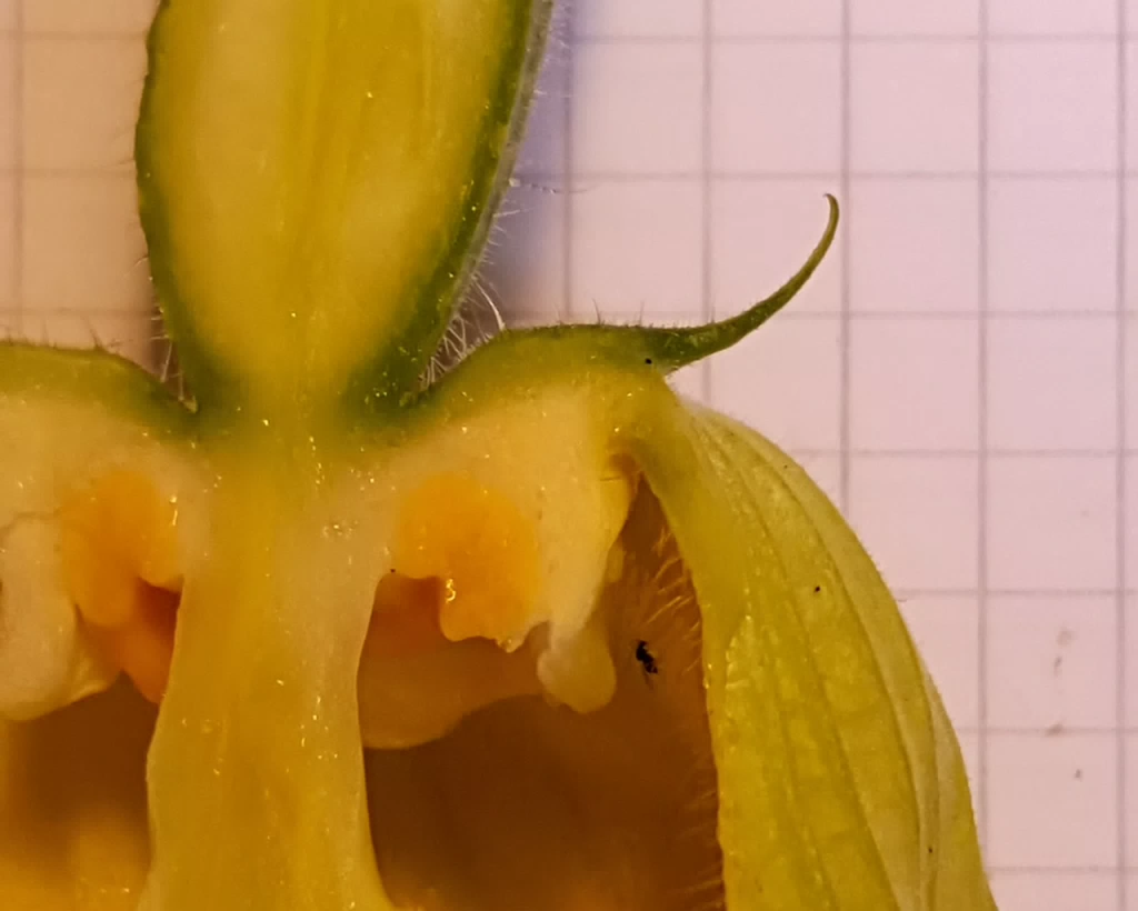 20150801_125032_007 IICSA   IICSA   II